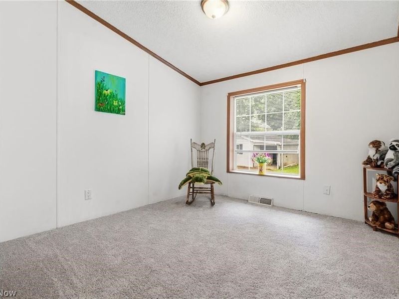 3339 Cottage Grove Road, Akron, OH 44319 Photo 15