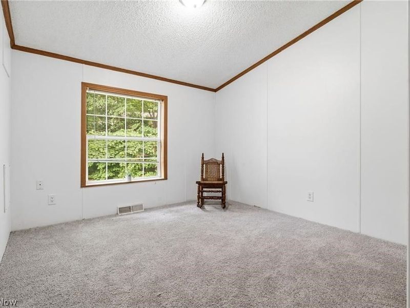 3339 Cottage Grove Road, Akron, OH 44319 Photo 18
