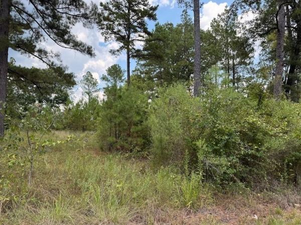0 Hwy 157 , Benton, LA 71006