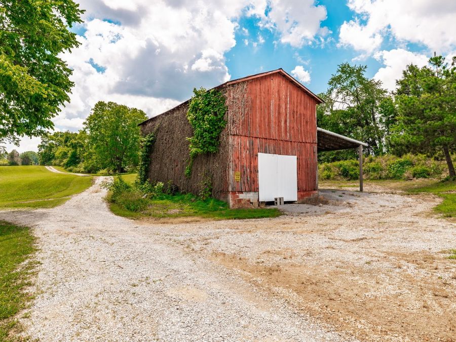 Property Image 63