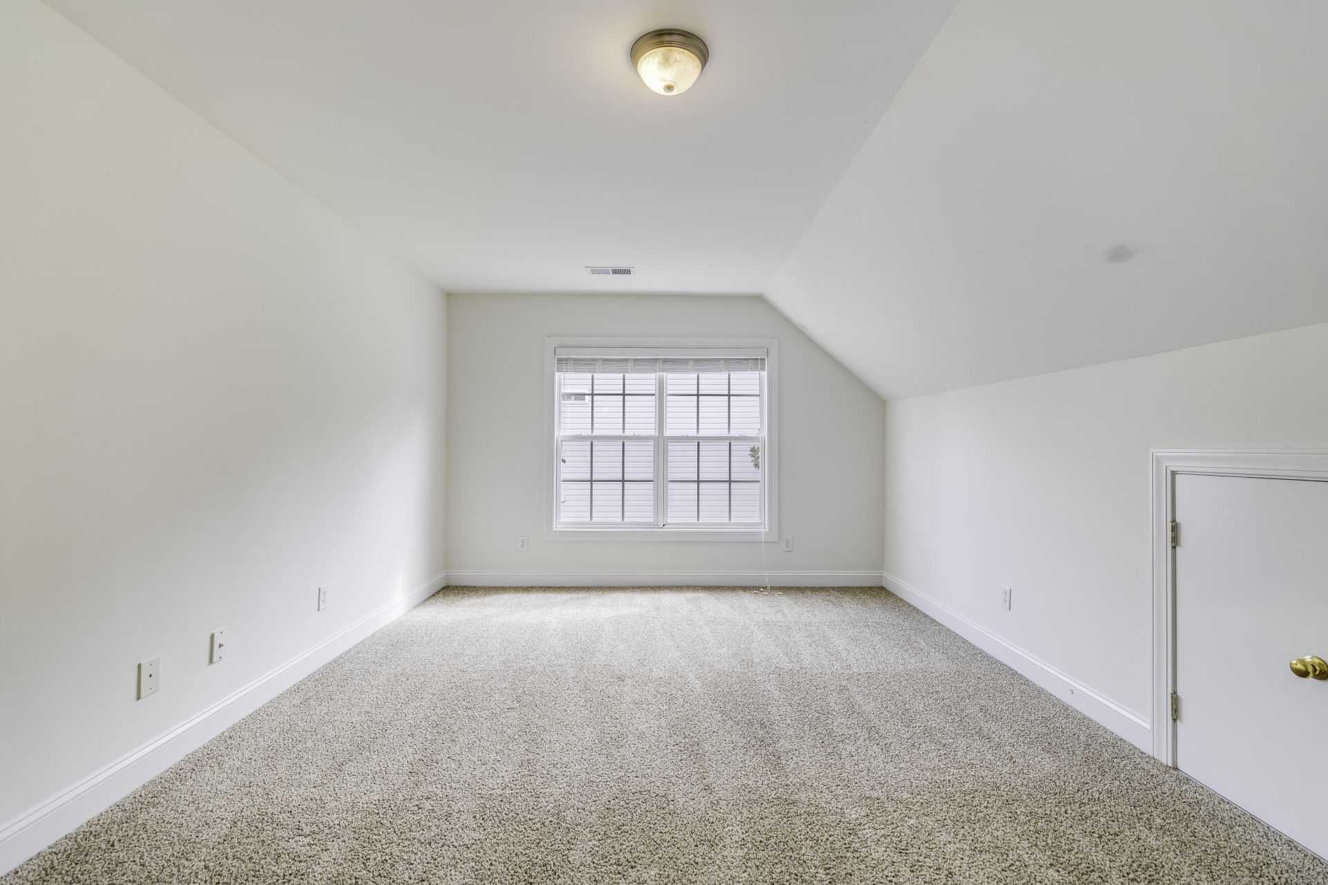 9214 Markleys Grove Boulevard Photo 44