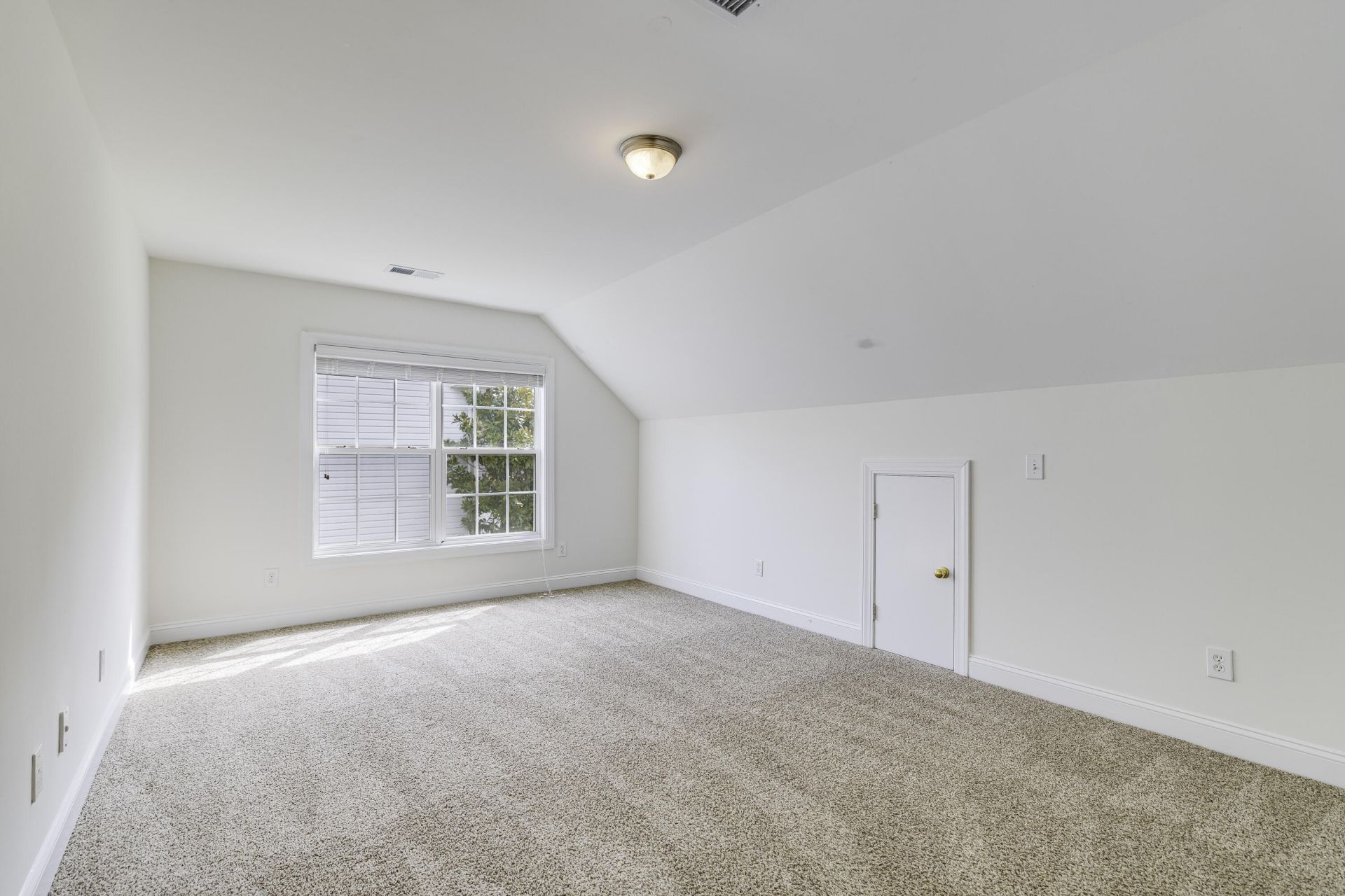 9214 Markleys Grove Boulevard Photo 45