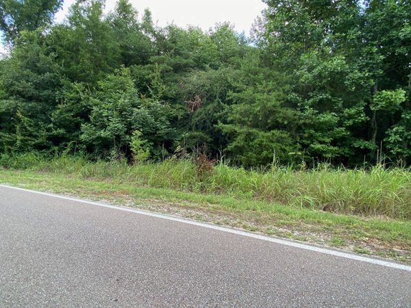 GENDALE & BALD EAGLE DR, Morris Chapel, TN 38361