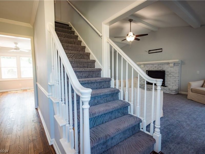 51 Sawmill Run Drive, Canfield, OH 44406 Photo 10