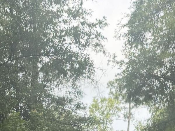 000 NE Tom Love Road , Hosford, FL 32334