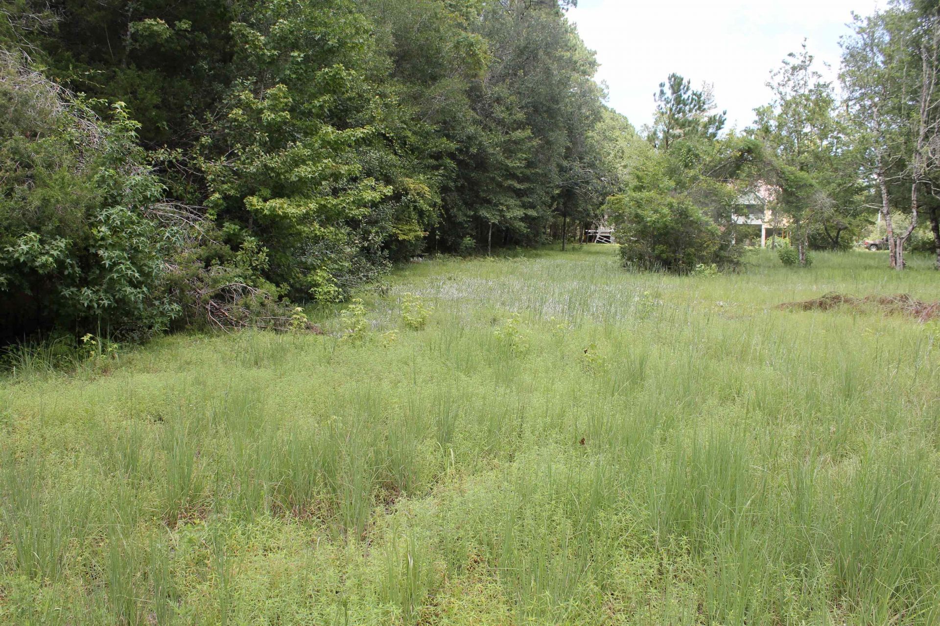 90 Mathis Road , Sopchoppy, FL 32358 Photo