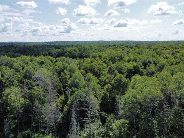 W10816 BERGMAN RD., Merrill, WI 54452