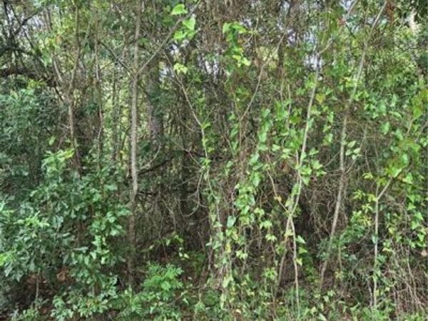 1412 Canal Road , Mobile, AL 36605