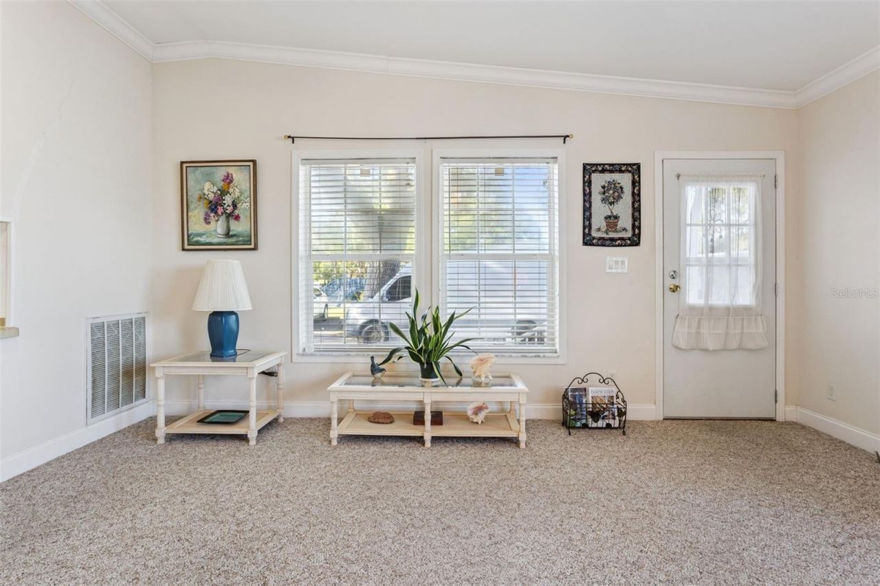 212 Palm Meadows Drive, Eustis, FL 32726 Photo