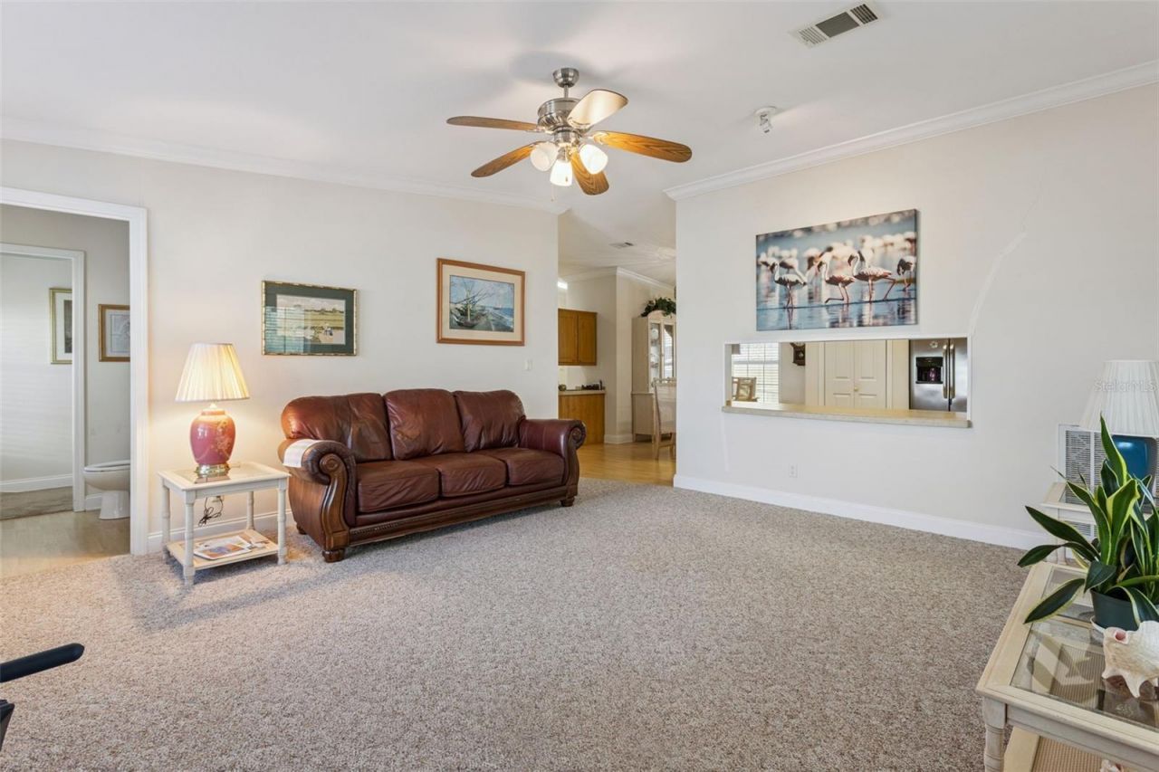 212 Palm Meadows Drive, Eustis, FL 32726 Photo