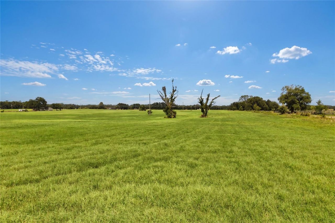 18951 SE 15th Street, Williston, FL 32696 Photo