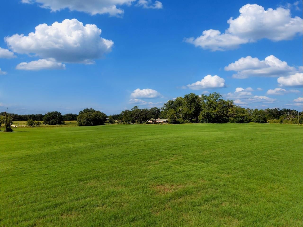 18951 SE 15th Street, Williston, FL 32696 Photo