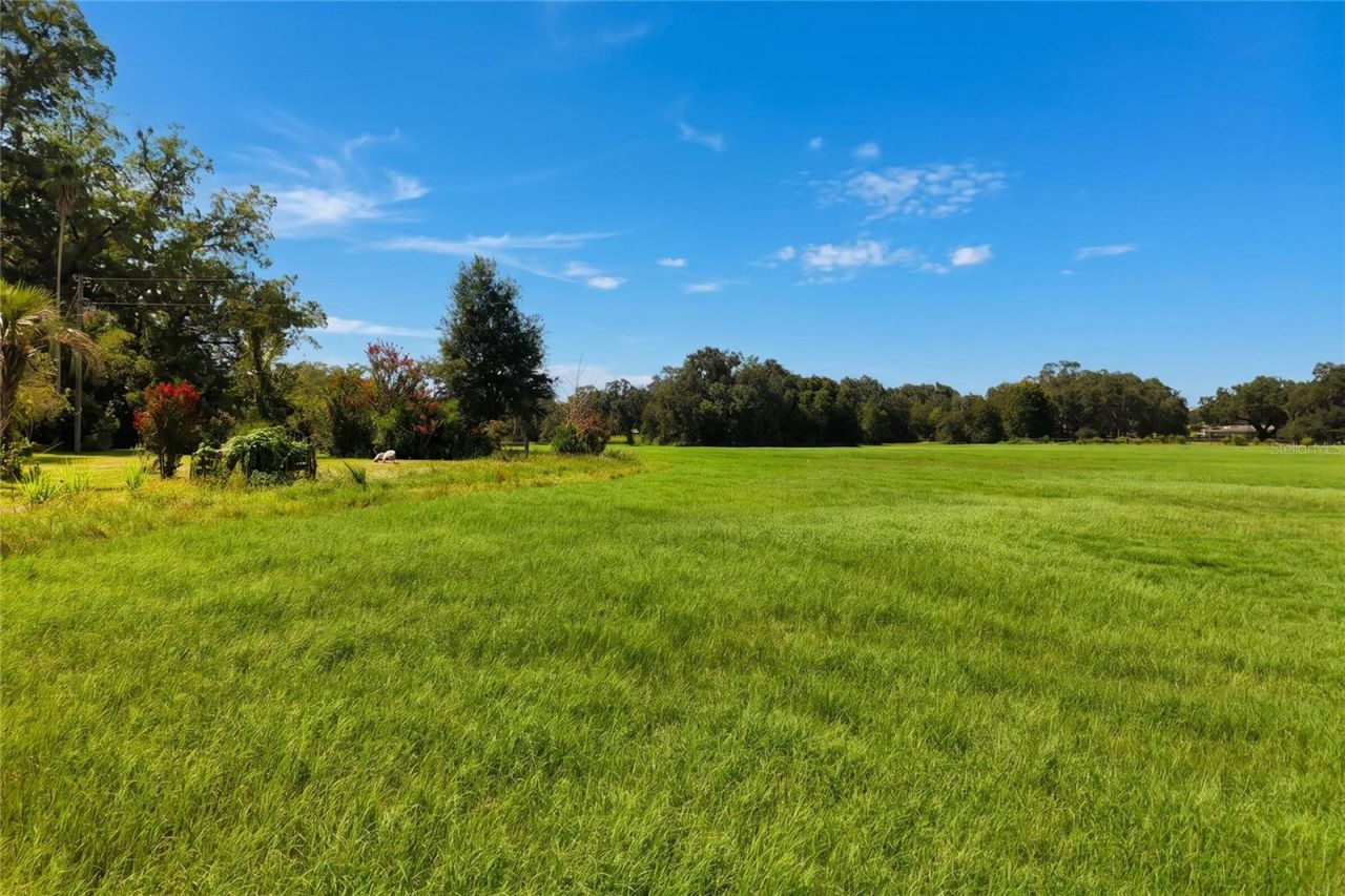 18951 SE 15th Street, Williston, FL 32696 Photo
