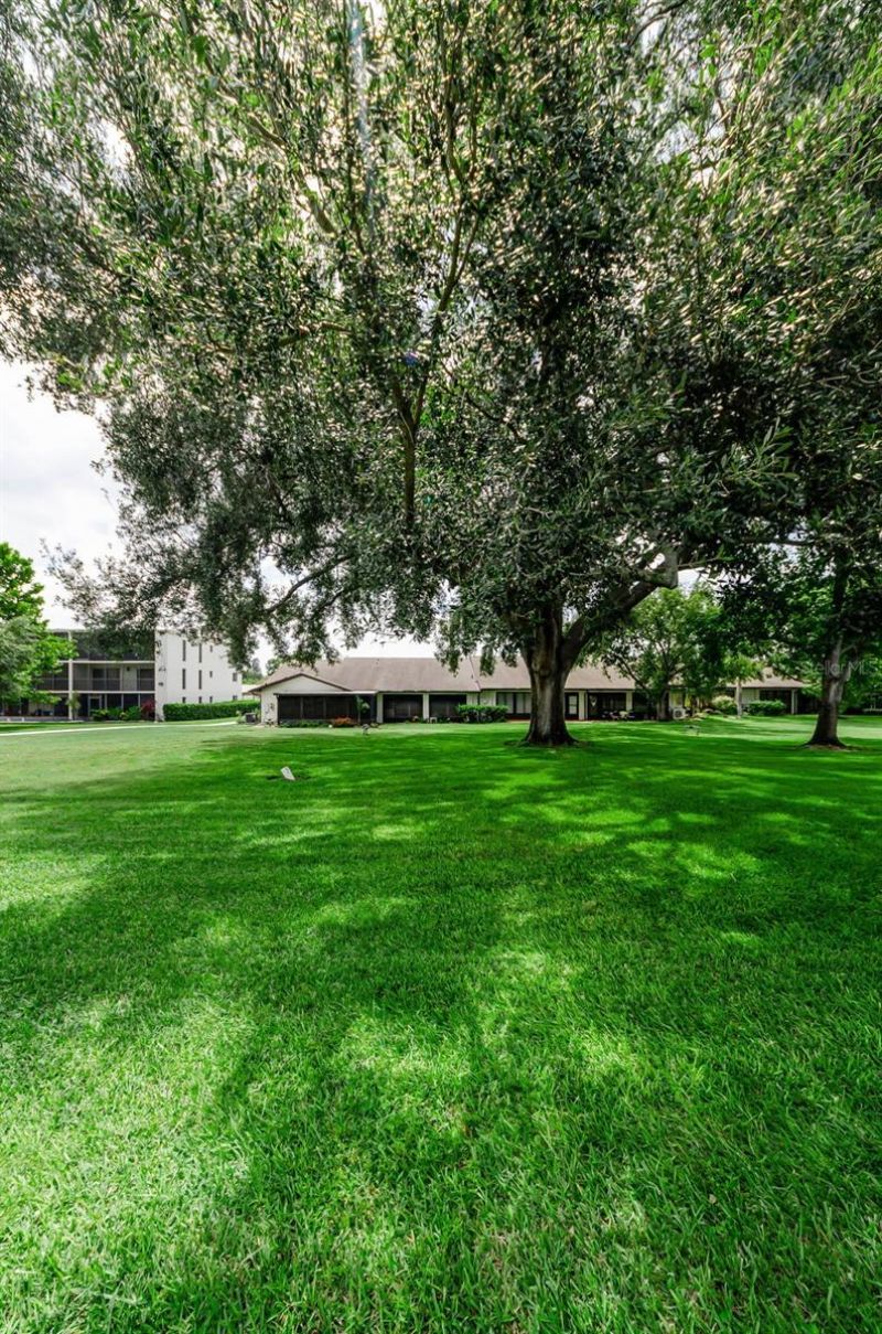 1500 Heather Ridge Boulevard, Unit 106, Dunedin, FL 34698 Photo