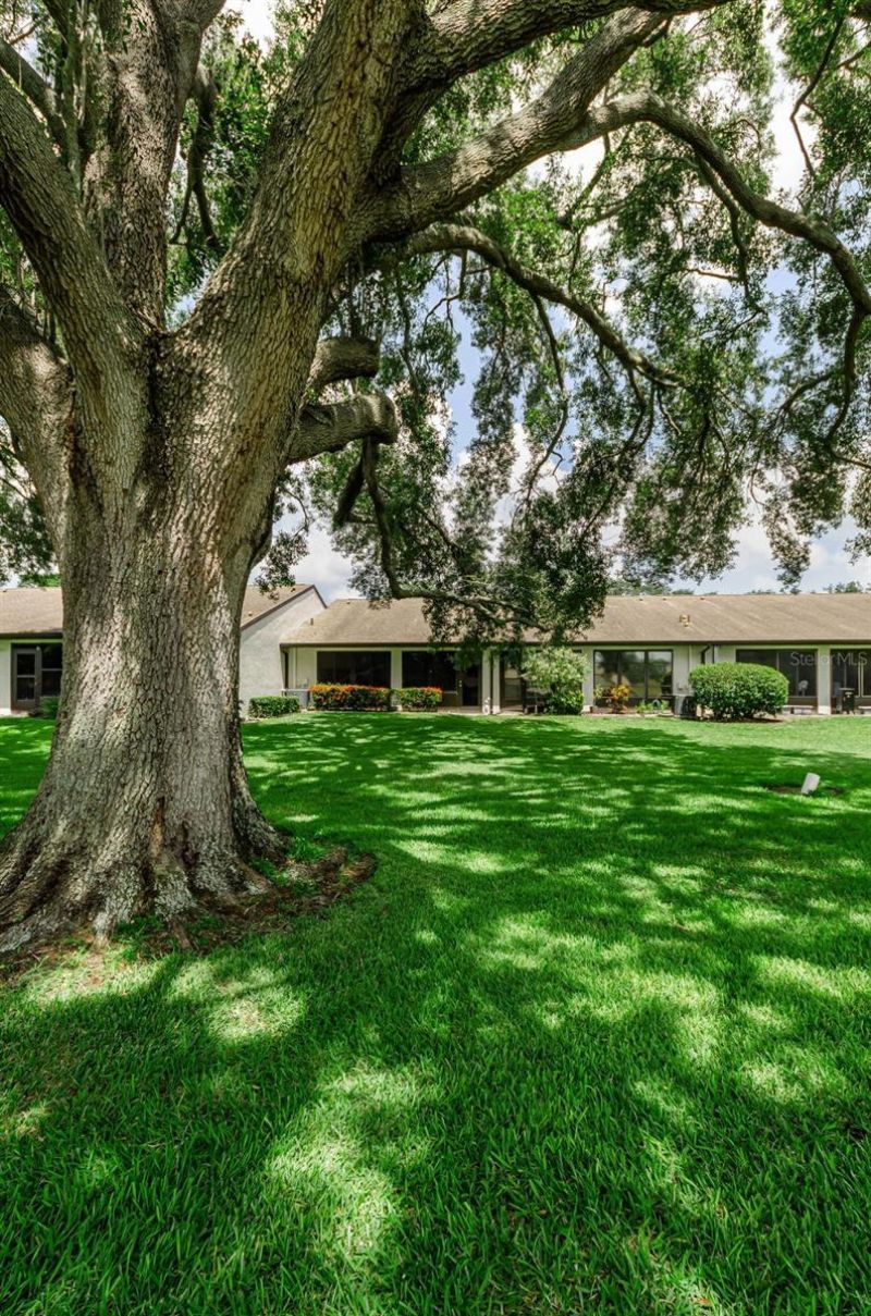 1500 Heather Ridge Boulevard, Unit 106, Dunedin, FL 34698 Photo