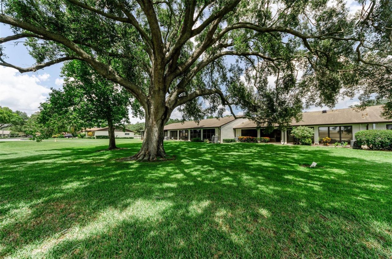1500 Heather Ridge Boulevard, Unit 106, Dunedin, FL 34698 Photo