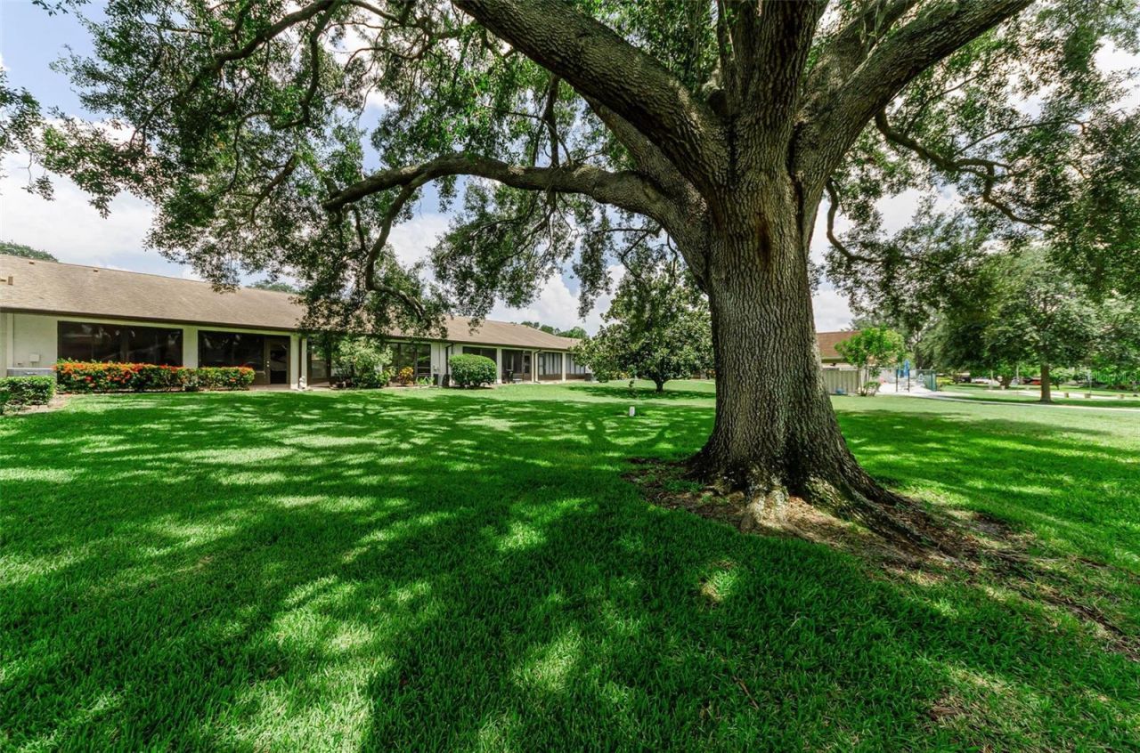 1500 Heather Ridge Boulevard, Unit 106, Dunedin, FL 34698 Photo