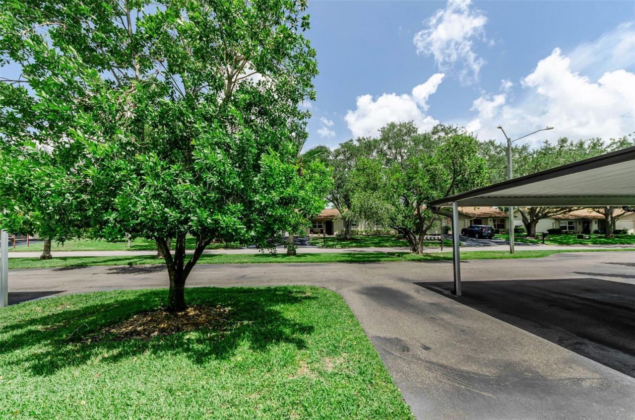 1500 Heather Ridge Boulevard, Unit 106, Dunedin, FL 34698 Photo