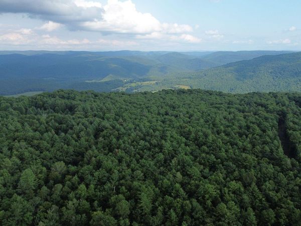 300 Droop Mountain Rd., Hillsboro, WV 24946