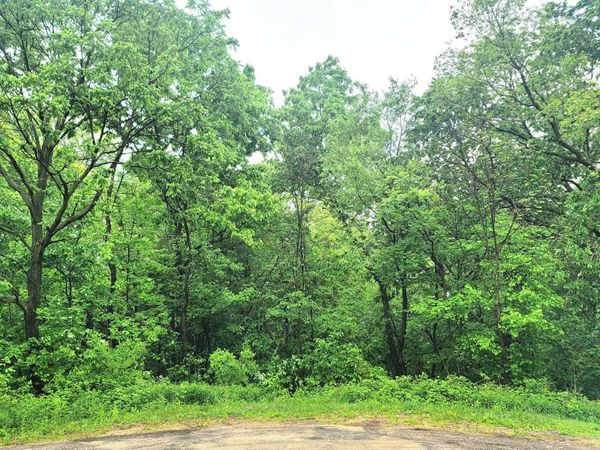 4 Hillside Court, GALENA, IL 61036