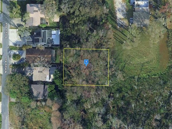 6810 N BLOSSOM AVENUE , TAMPA, FL 33614