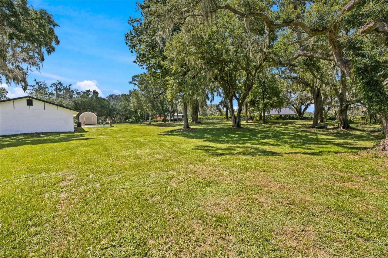 3875 SE 118th Lane, Belleview, FL 34420 Photo