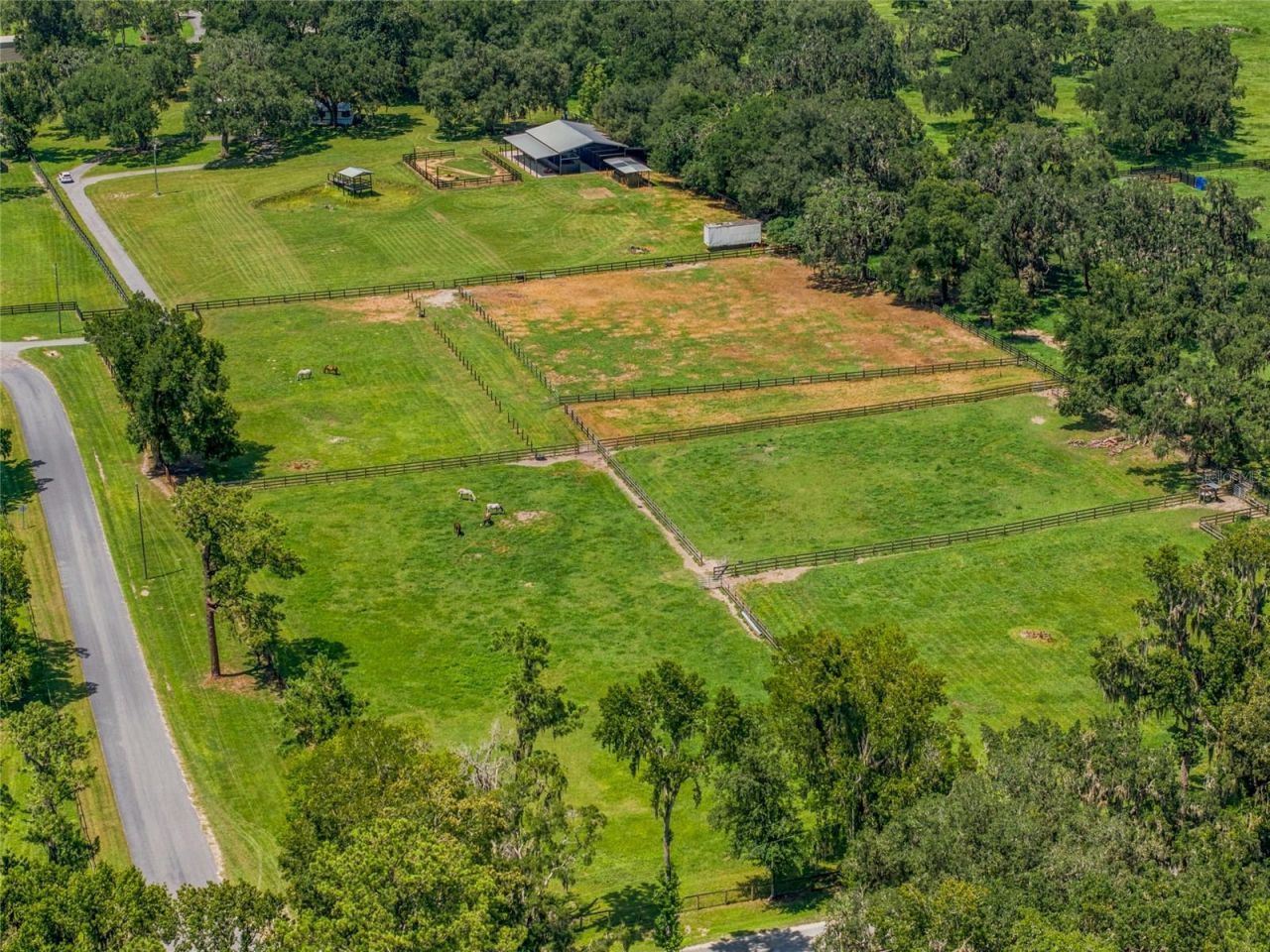 3875 SE 118th Lane, Belleview, FL 34420 Photo