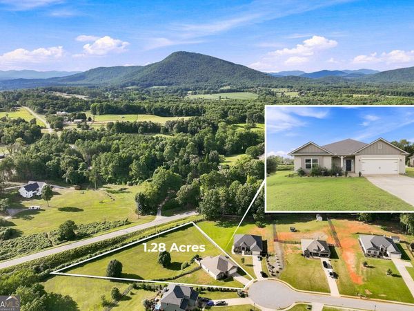 6104 Creekside View Ln, Clermont, GA 30527