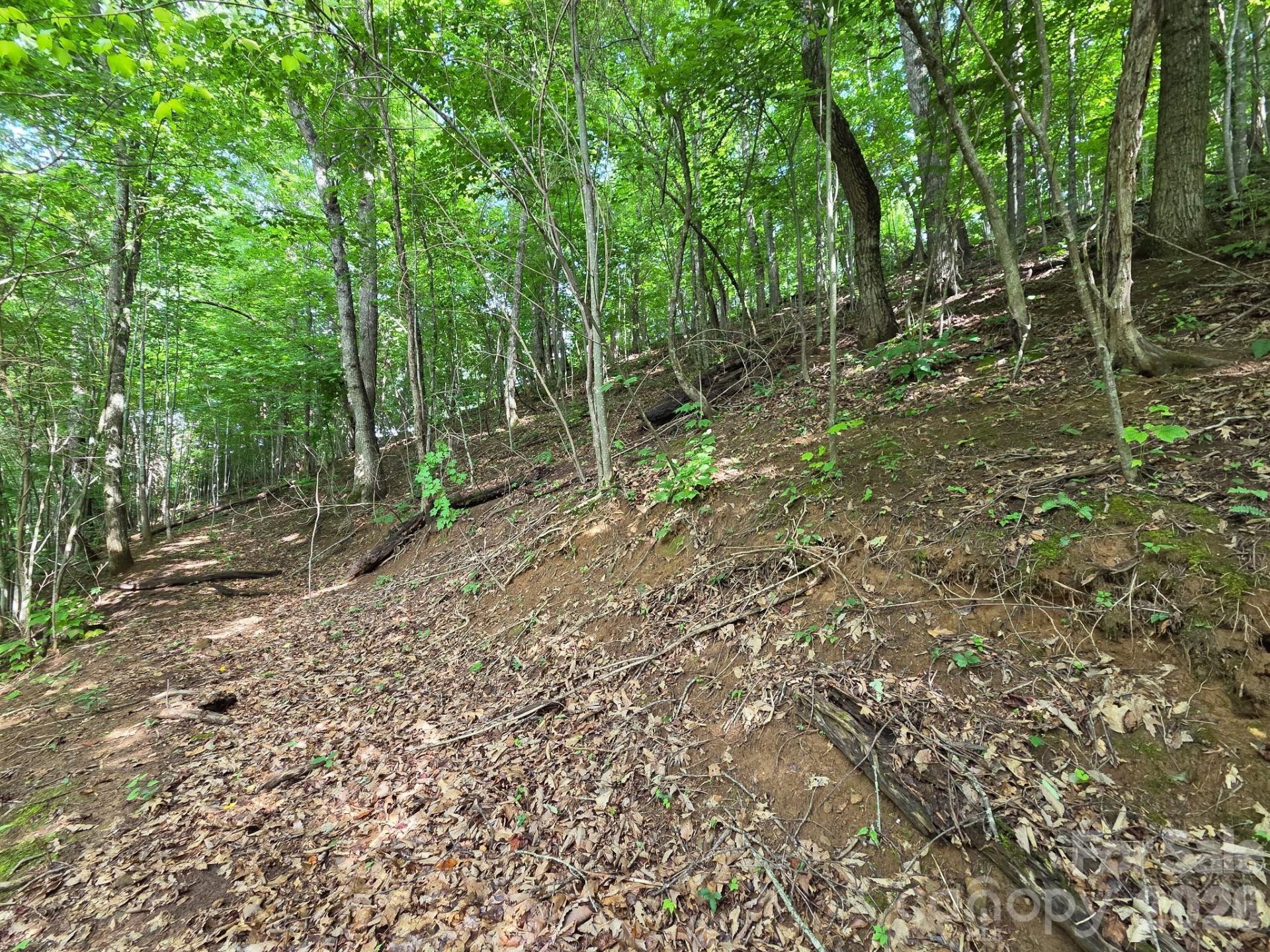 Tbd Grandview Cliff Heights , Waynesville, NC 28751 Main Photo