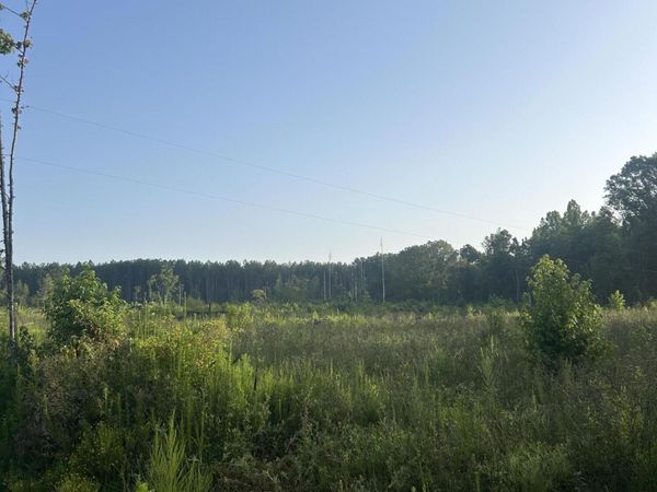 Co Rd 4112, Sallis, MS 39160