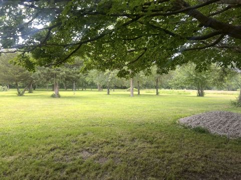 Main Photo