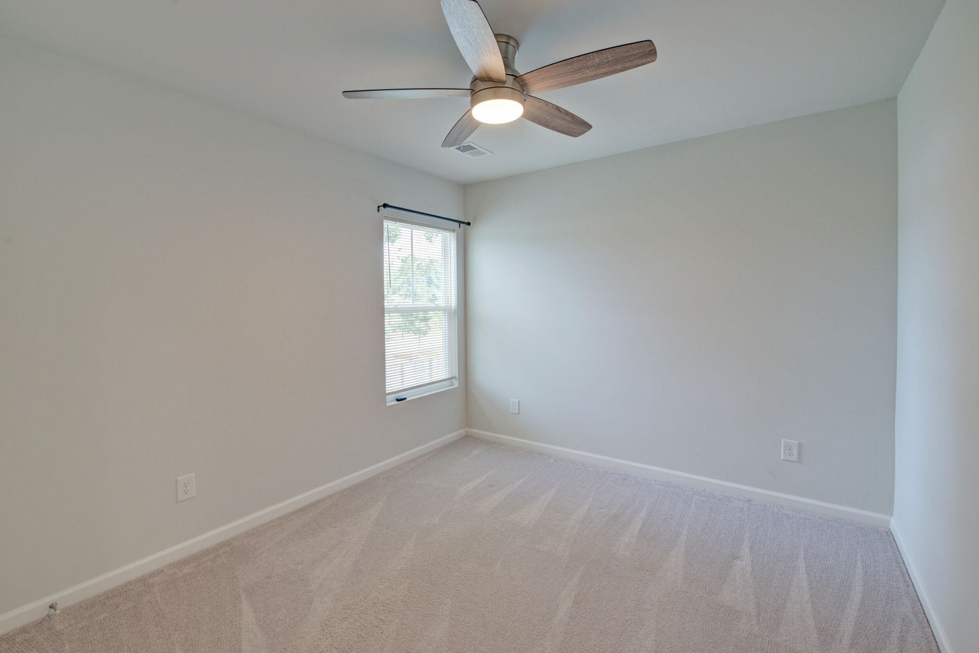 625 Jancus Street Photo 19