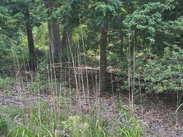 Lot 141 Lands End Drive, MONTROSS, VA 22520