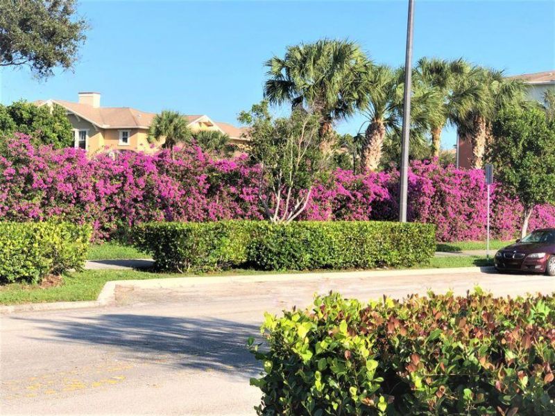 883 Millbrae Court, Unit 6, West Palm Beach, FL 33401 Photo