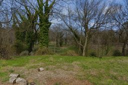 1109 Sumac Street photo 4