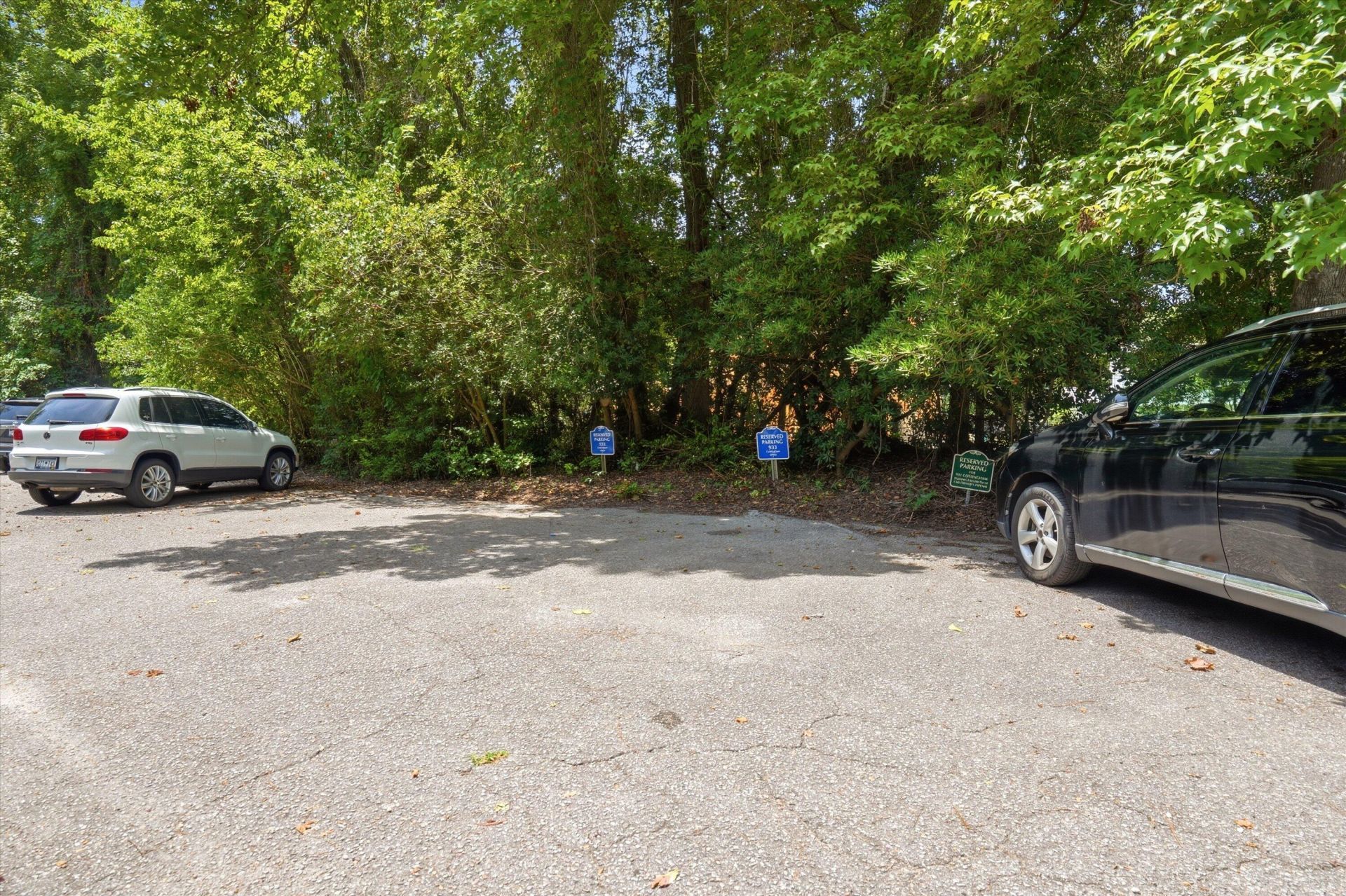 933 Cottingham Drive Photo 23