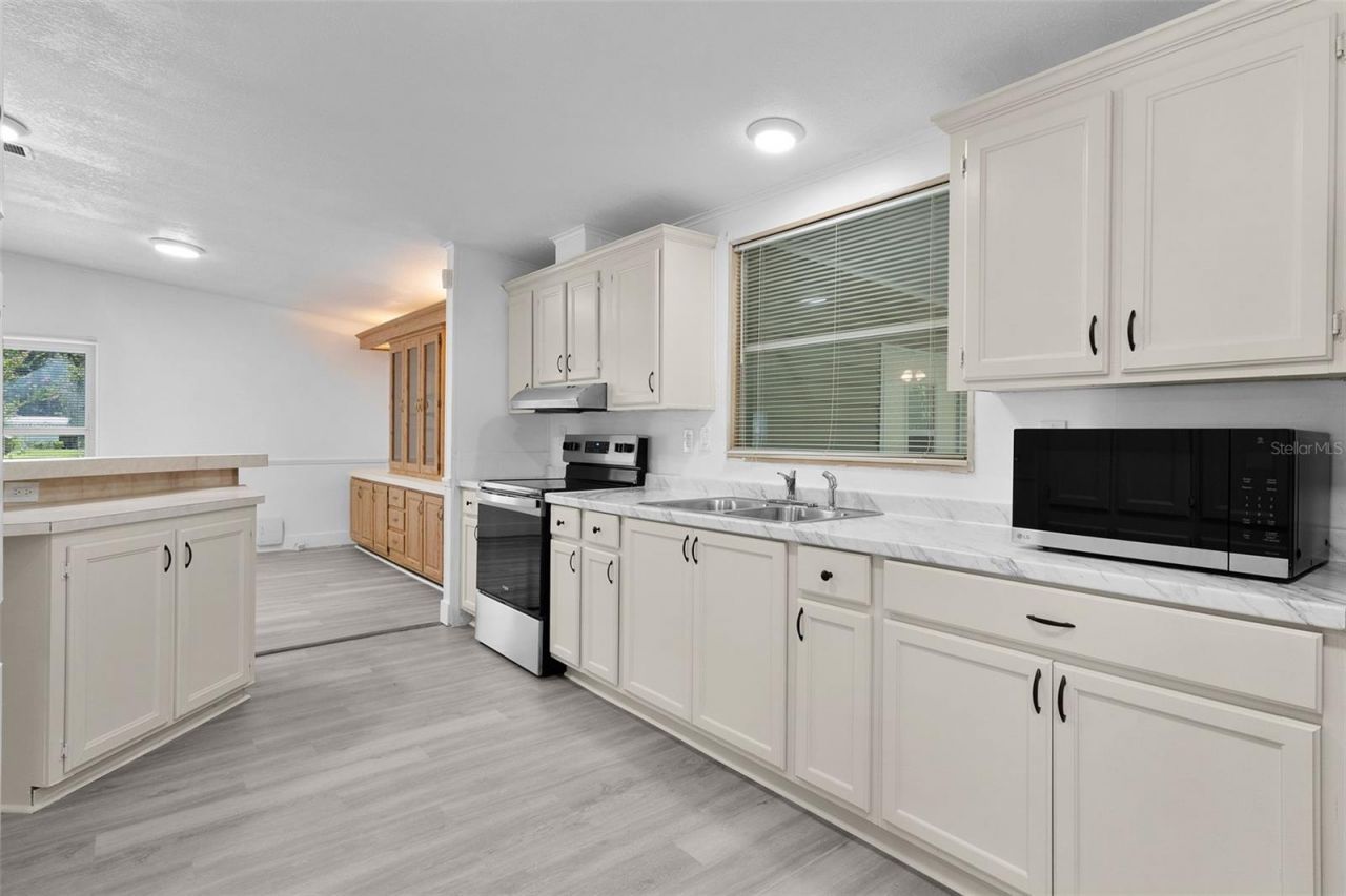 27817 W Pelican Isle Drive, Leesburg, FL 34748 Photo