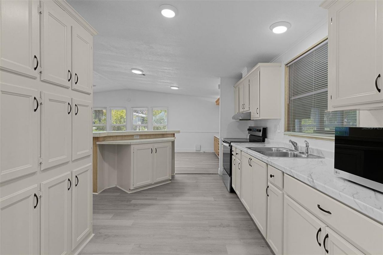 27817 W Pelican Isle Drive, Leesburg, FL 34748 Photo