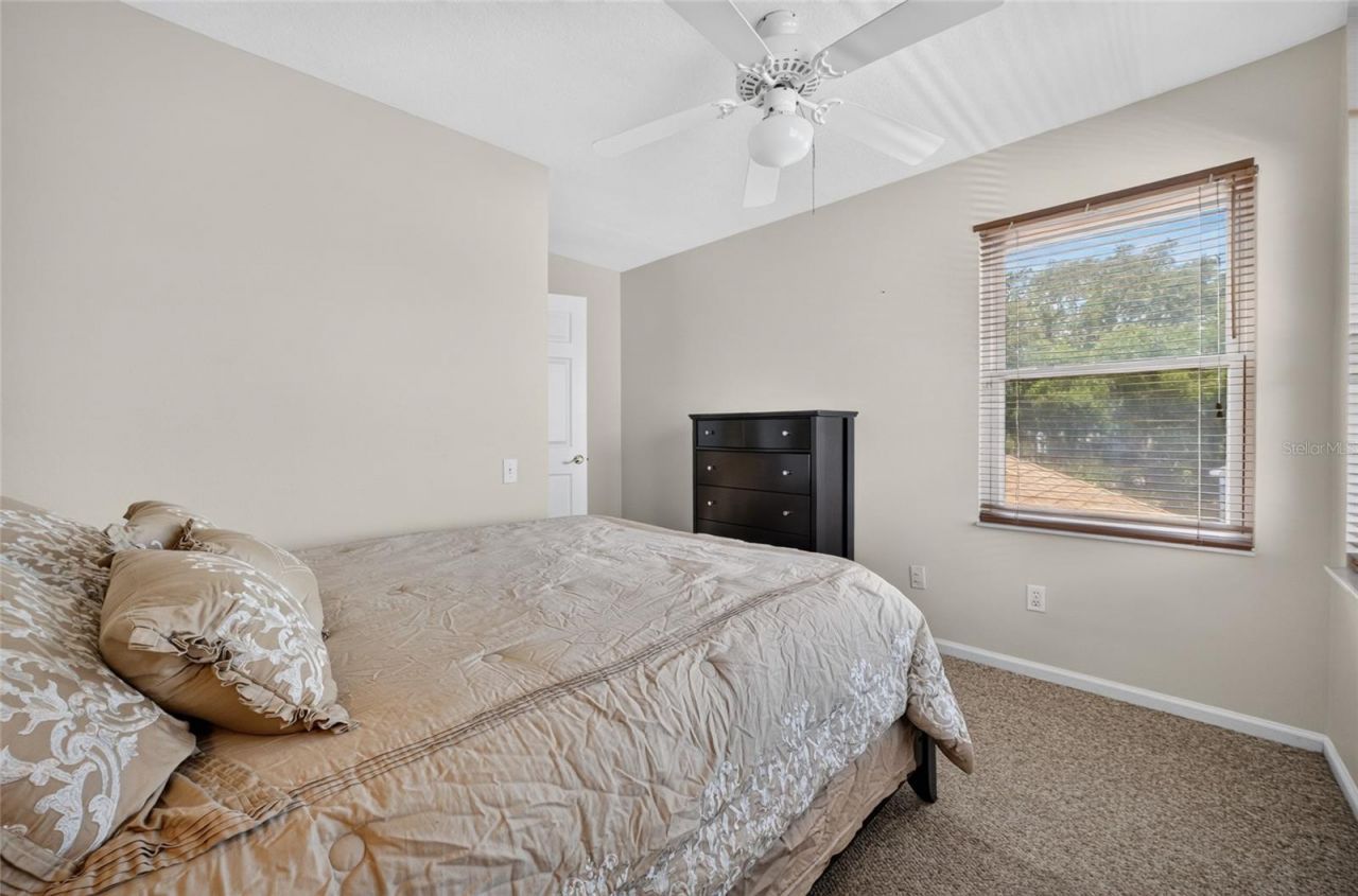 3577 Clear Stream Drive, Orlando, FL 32822 Photo