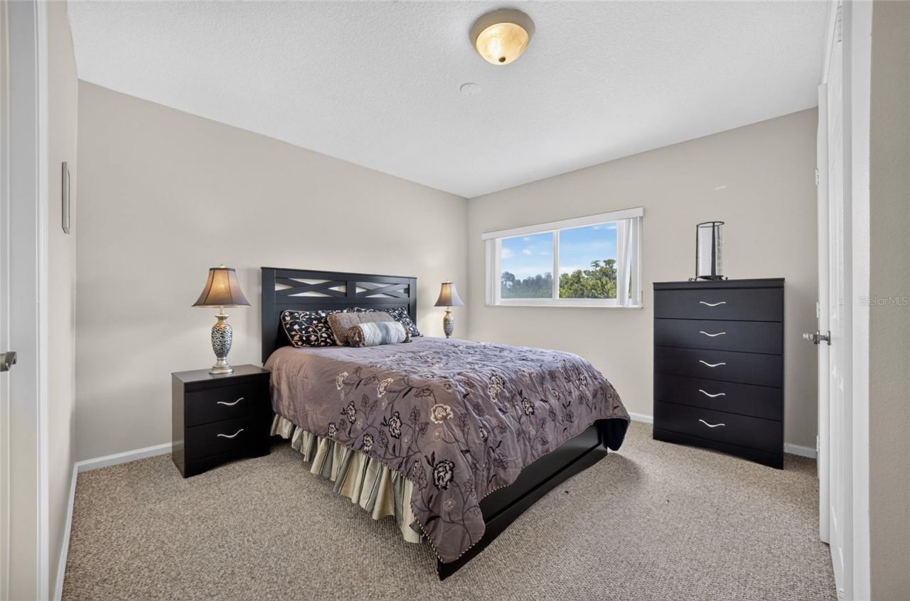 3577 Clear Stream Drive, Orlando, FL 32822 Photo