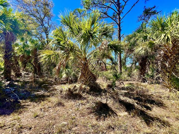 441 Juper Street, Port Charlotte, FL 33953