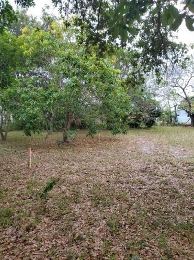 _ SW 56th Avenue, Fort Lauderdale, FL 33314 Photo