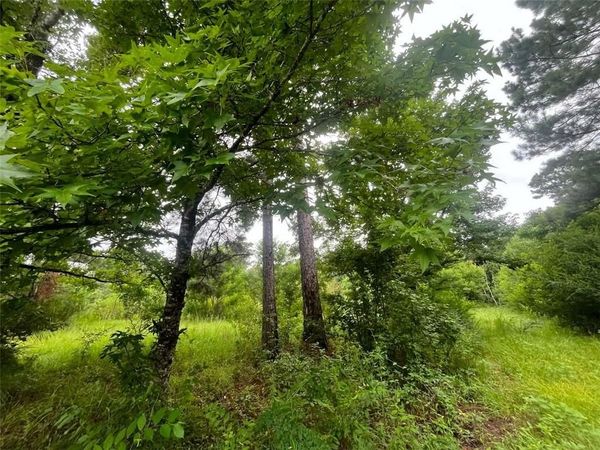 589 TYLER CEMETERY Road, Center Point, LA 71323