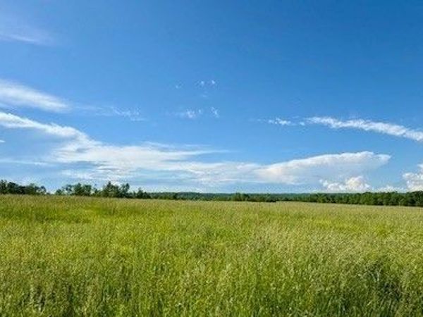 1 Topsy Rd, Waynesboro, TN 38485