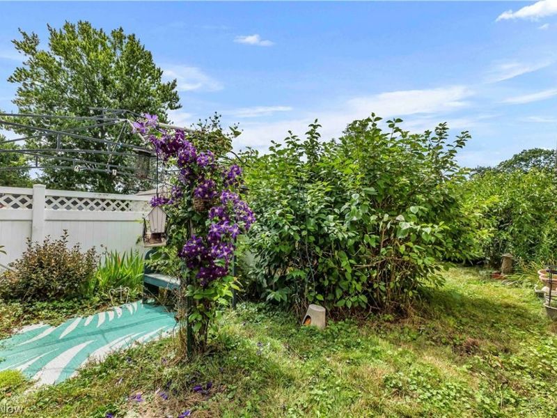 6676 Mackenzie, North Olmsted, OH 44070 Photo 7