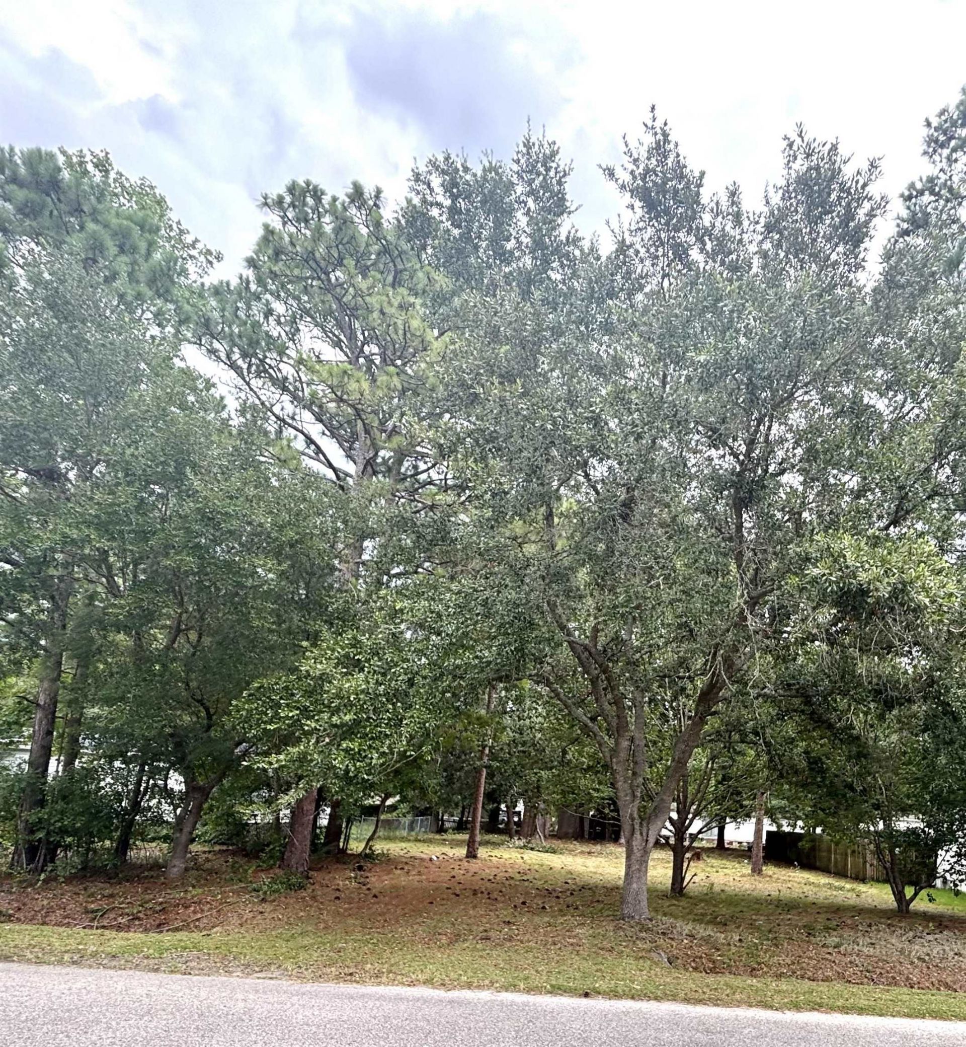 108 Sassafras Ln., Conway, SC 29526 Main Photo