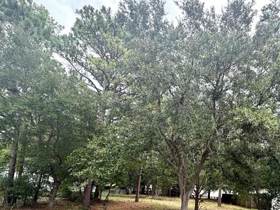 108 Sassafras Ln., Conway, SC 29526