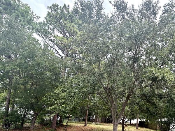 108 Sassafras Ln., Conway, SC 29526