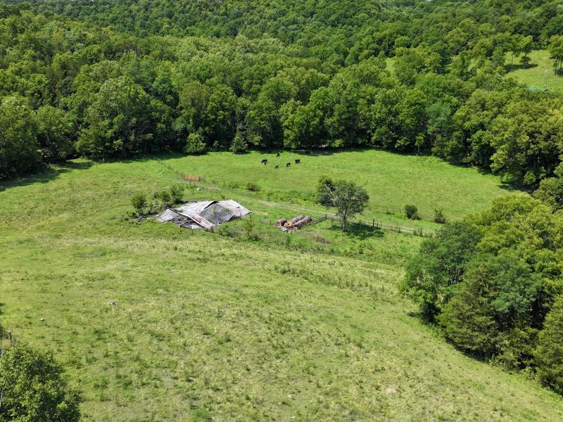 1629 Ky Highway 1130, Sanders, KY 41083 Photo 14