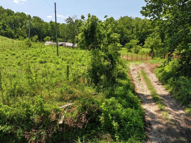 1629 Ky Highway 1130, Sanders, KY 41083 Photo 16